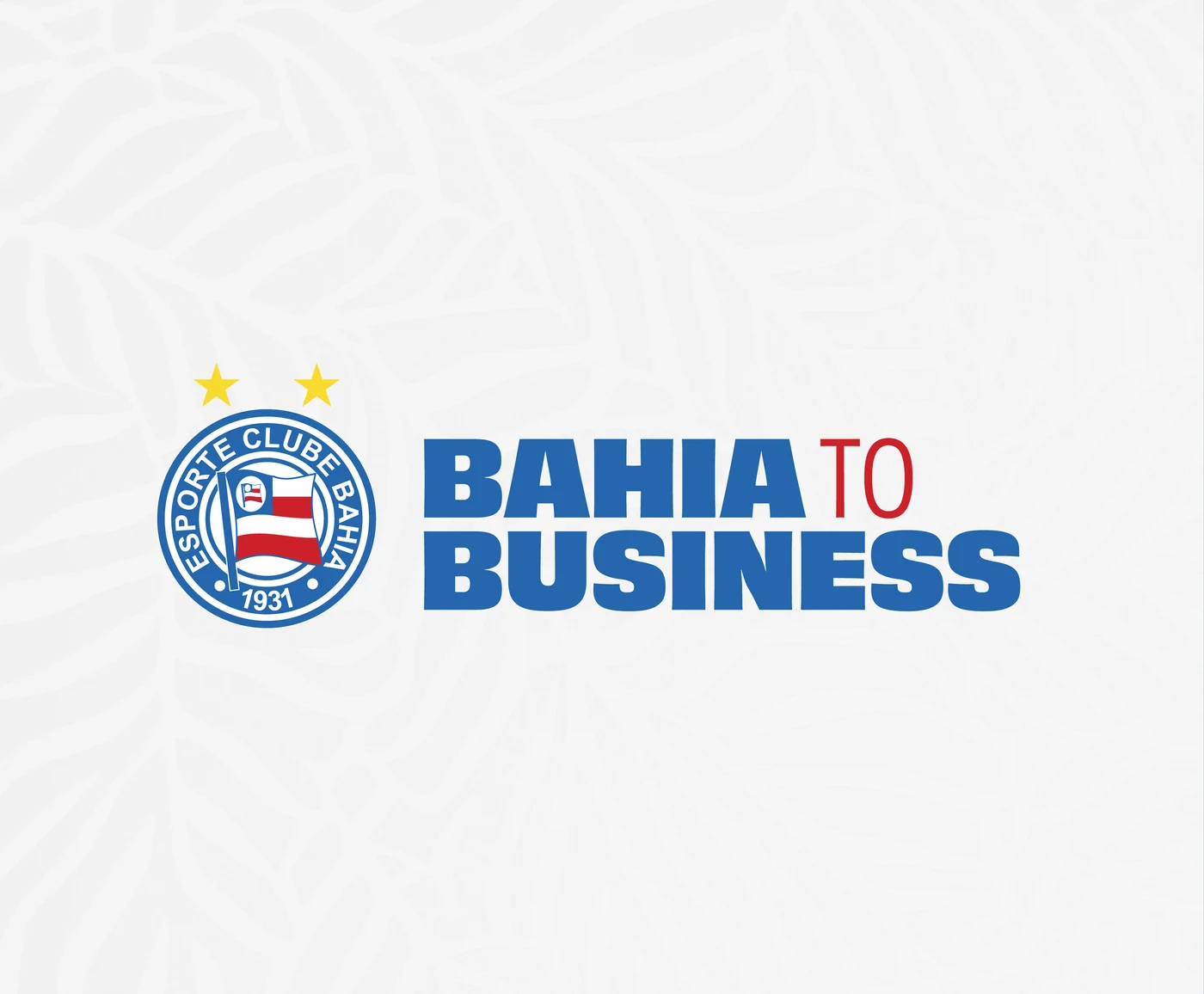 Bahia — Sistema Visual 2024 (Esporte Clube Bahia) — 16 submarcas
