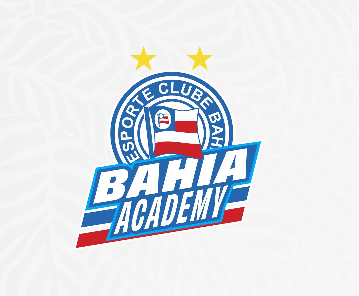 Bahia — Sistema Visual 2024 (Esporte Clube Bahia) — 16 submarcas