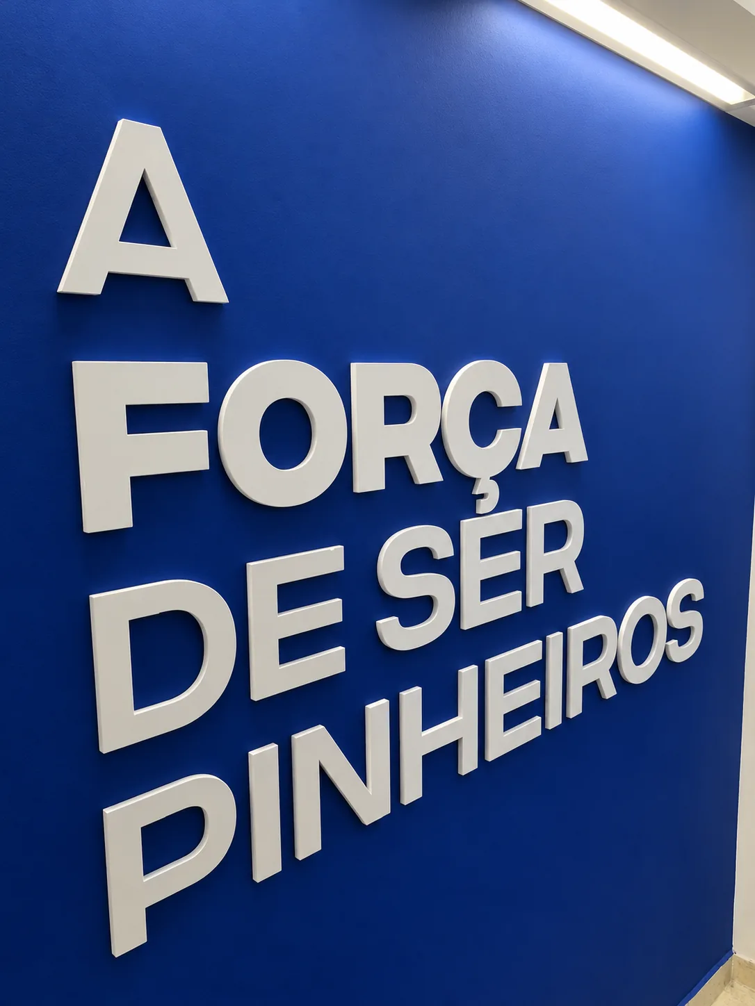 A Força de Ser Pinheiros (Esporte Clube Pinheiros) — Do feed para as paredes